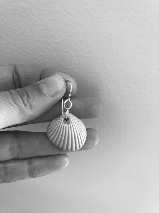 Sea Shells - Ready to ship