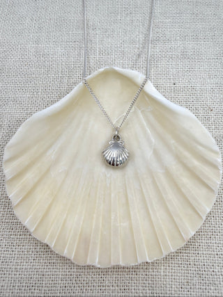 Scallop Shell | Necklace
