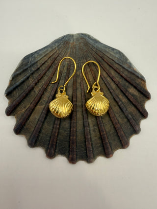 Scallop Shell Drop | Earrings