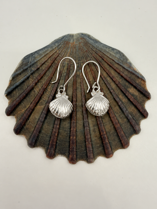 Scallop Shell Drop | Earrings