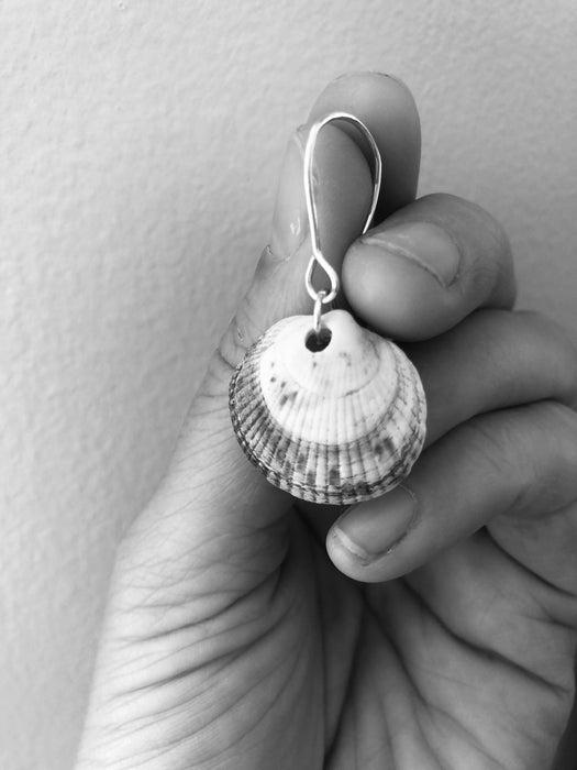 Seashells - Ready to ship