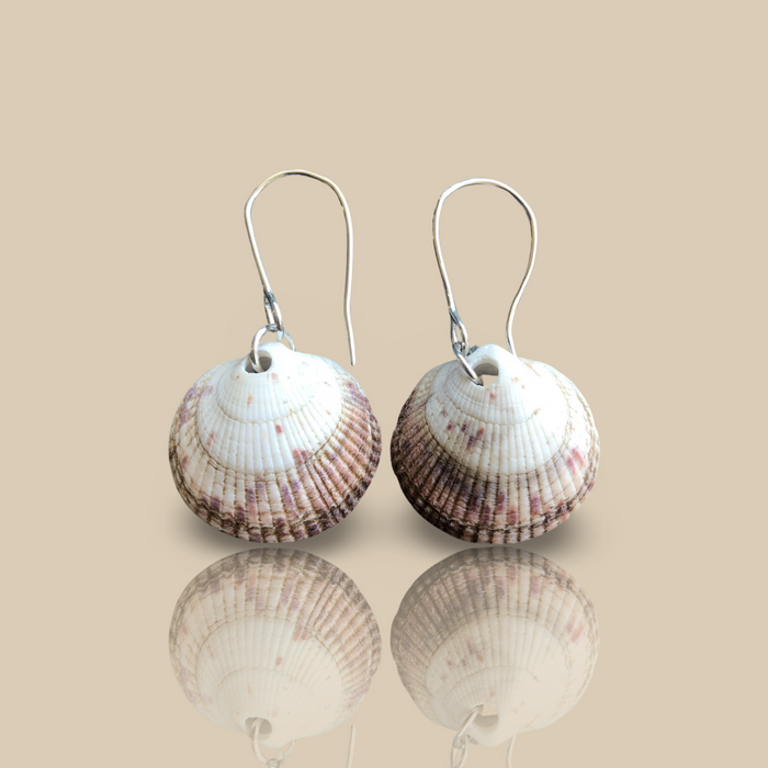 Sea Shells - Ready to ship