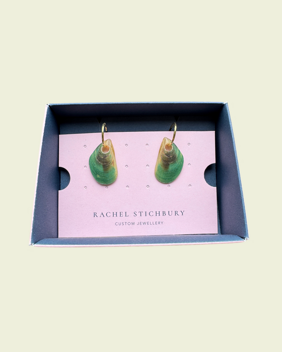 Seashells - Ready to ship
