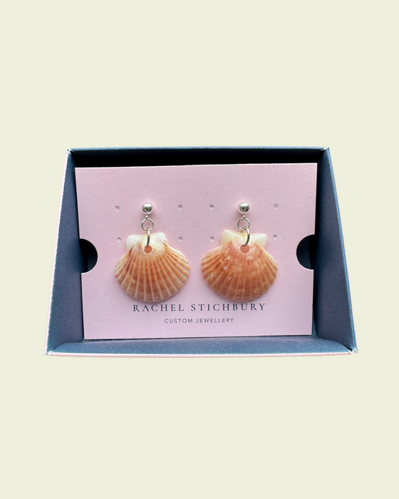 Seashells - Ready to ship