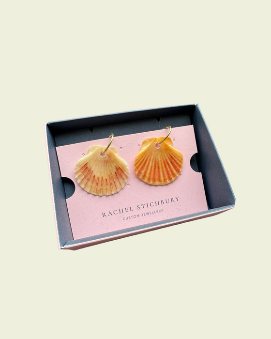 Seashells - Ready to ship