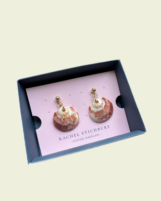 Seashells - Ready to ship