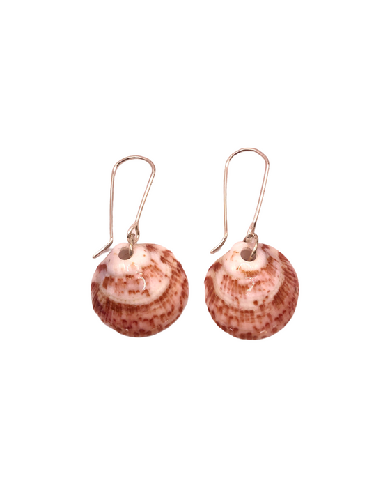 Seashells - Ready to ship