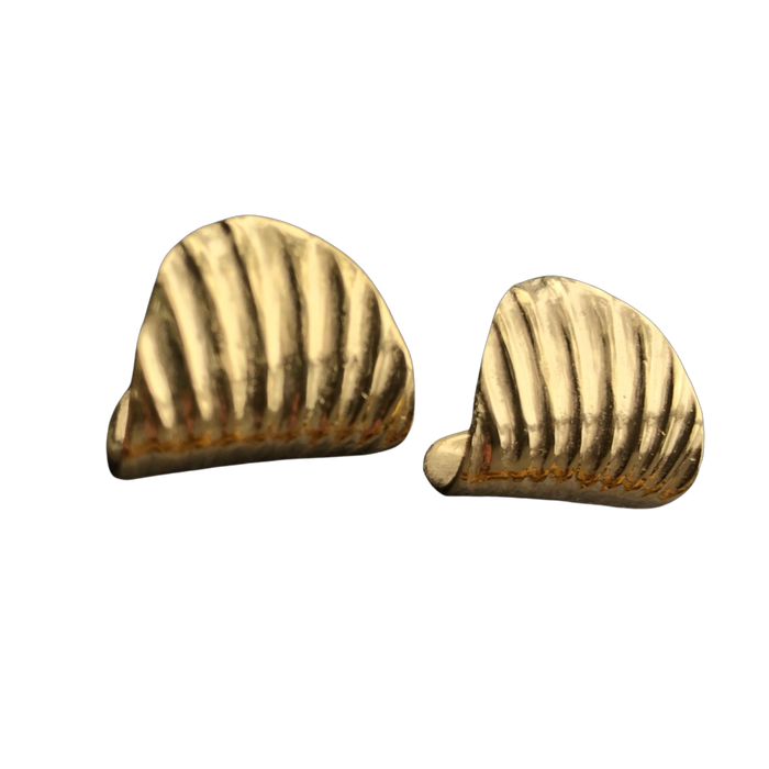 Shell Wrap Earrings
